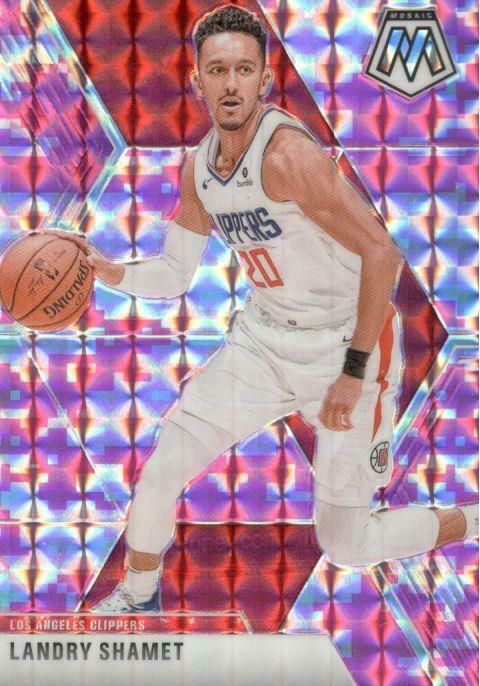 Landry Shamet [Pink Camo] #118