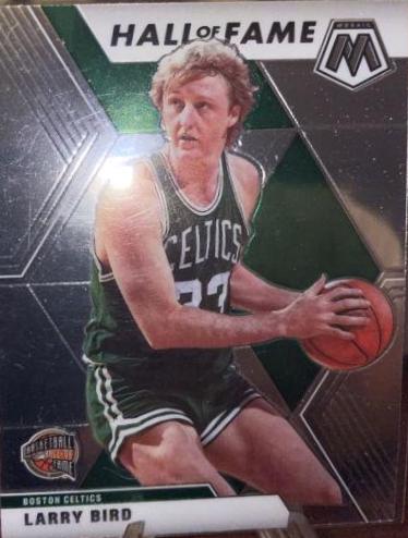 Larry Bird #290