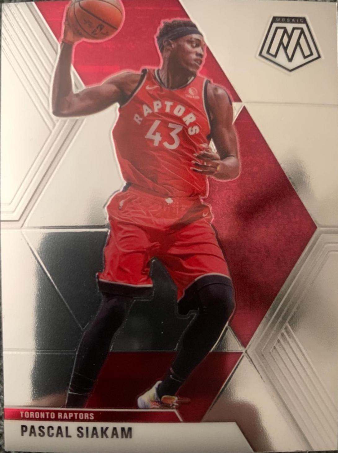 Pascal Siakam #19