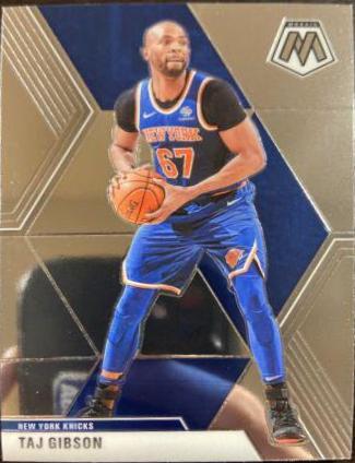 Taj Gibson #121