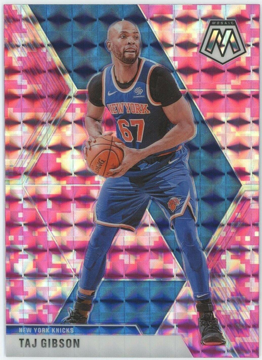 Taj Gibson [Pink Camo] #121