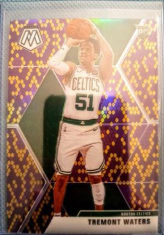 Tremont Waters [Purple & Gold Snakeskin] #214