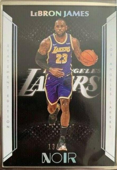LeBron James [Metal Frame] #219