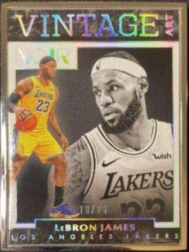 LeBron James [Metal Frame] #298