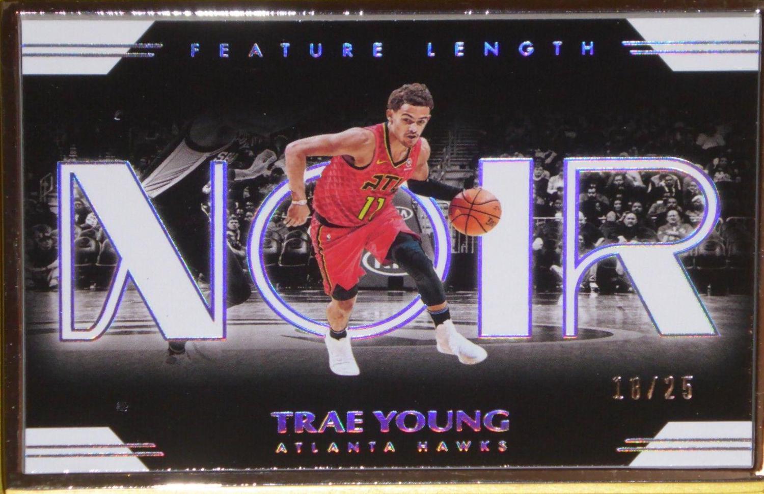 Trae Young [Metal Frame] #258