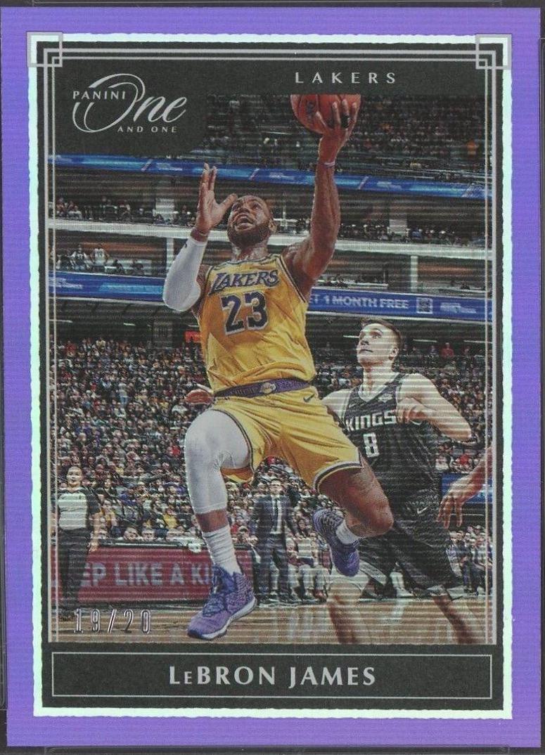 LeBron James [Purple] #20