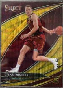 Dylan Windler [Gold Wave] #226