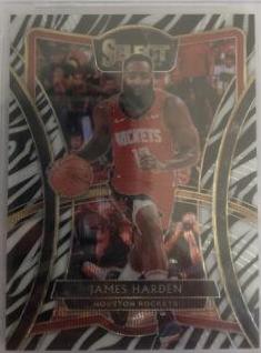 James Harden [Zebra Prizm] #140