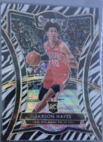 Jaxson Hayes [Zebra Prizm] #170