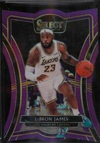 LeBron James [Die Cut Purple Prizm] #173