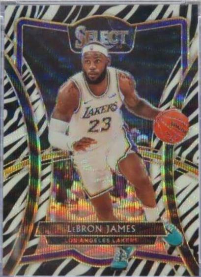 LeBron James [Zebra Prizm] #173