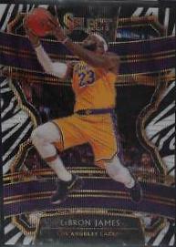 LeBron James [Zebra Prizm] #47