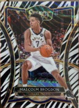 Malcolm Brogdon [Zebra Prizm] #115