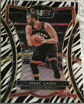 Marc Gasol [Zebra Prizm] #135