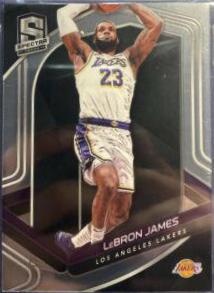 LeBron James [SP] #43