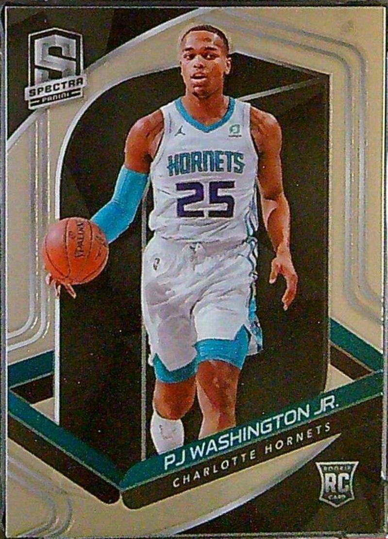 PJ Washington Jr. #123