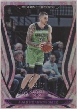 Juancho Hernangomez [Mirror Camo] #96