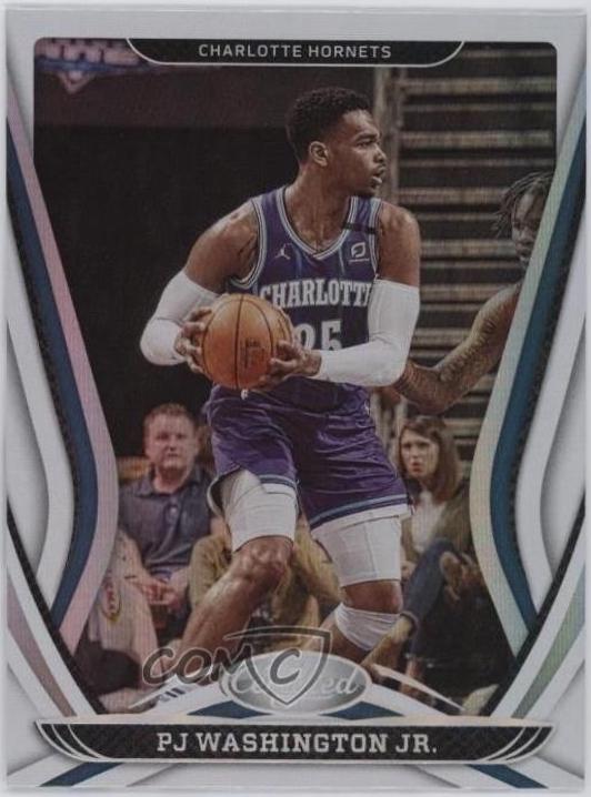 PJ Washington Jr. #30