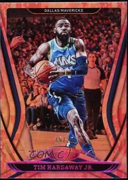 Tim Hardaway Jr. [Mirror Camo] #11