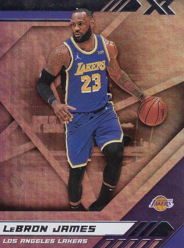 LeBron James #289