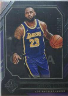 LeBron James #340