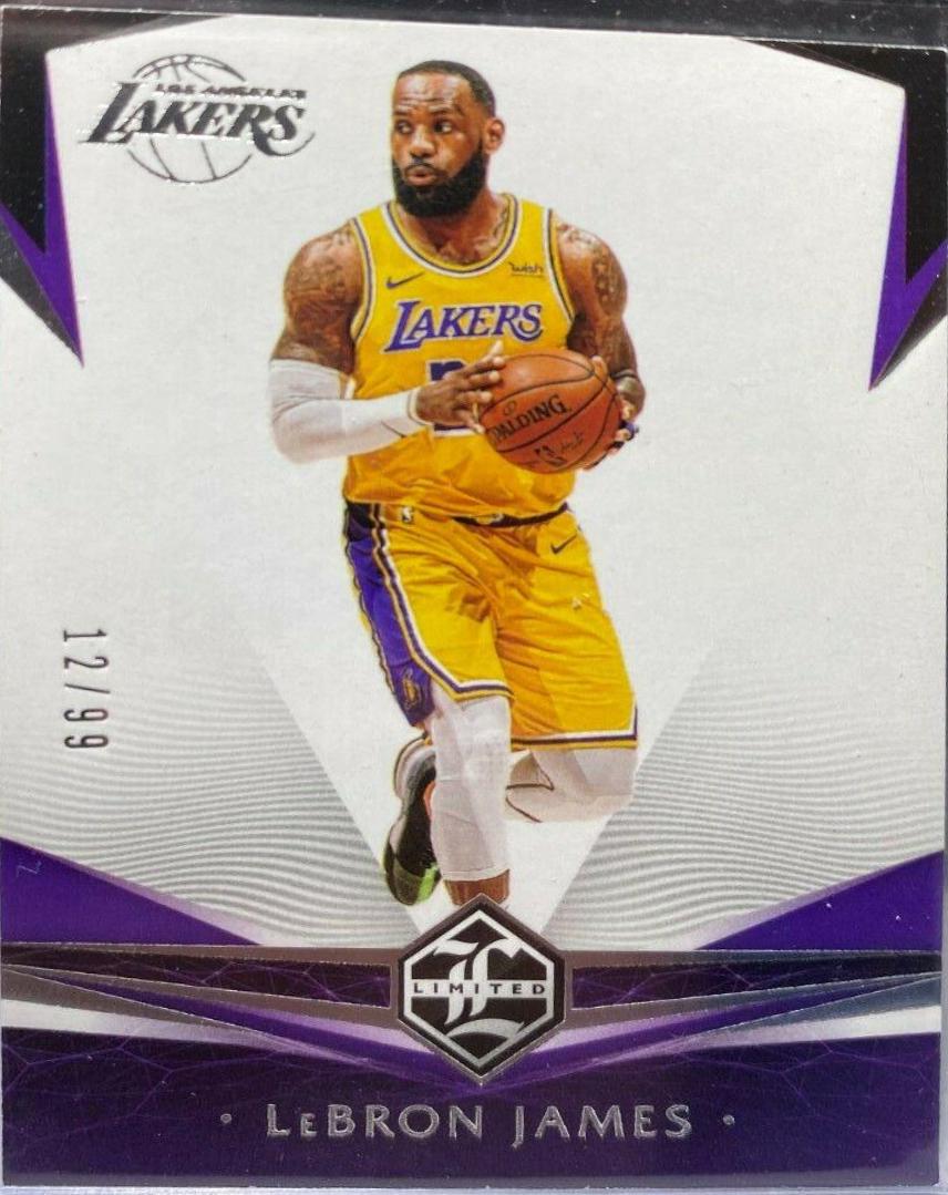 LeBron James #378