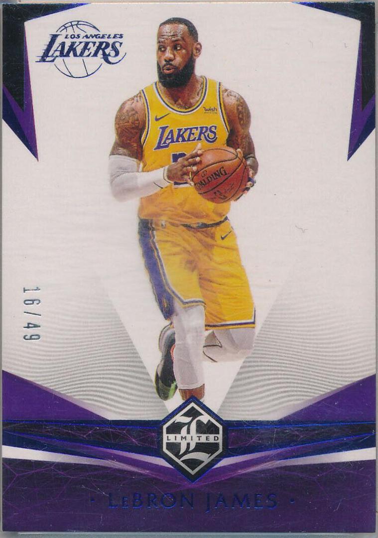 LeBron James [Blue] #378