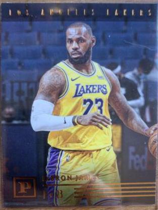 LeBron James [Bronze] #118