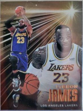 LeBron James [Bronze] #227