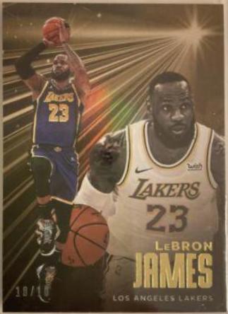 LeBron James [Gold] #227