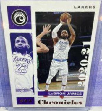 LeBron James [Gold] #557