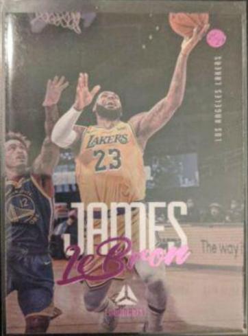 LeBron James [Pink] #152