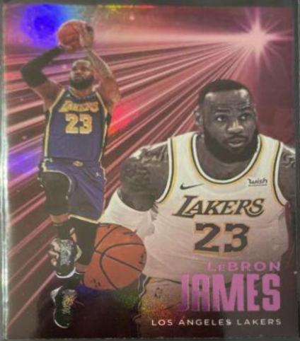 LeBron James [Pink] #227