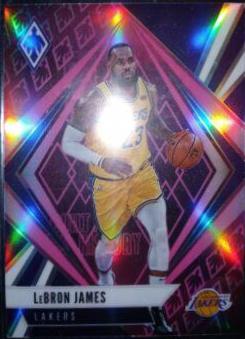 LeBron James [Pink] #577