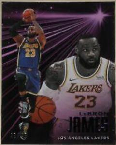 LeBron James [Purple] #227