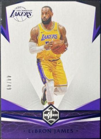 LeBron James [Purple] #378