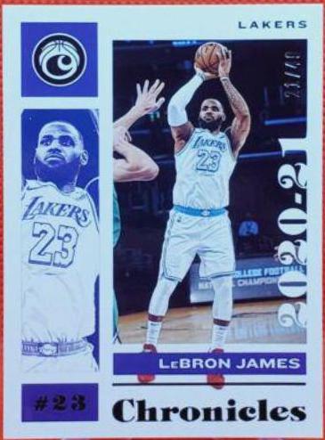 LeBron James [Purple] #46