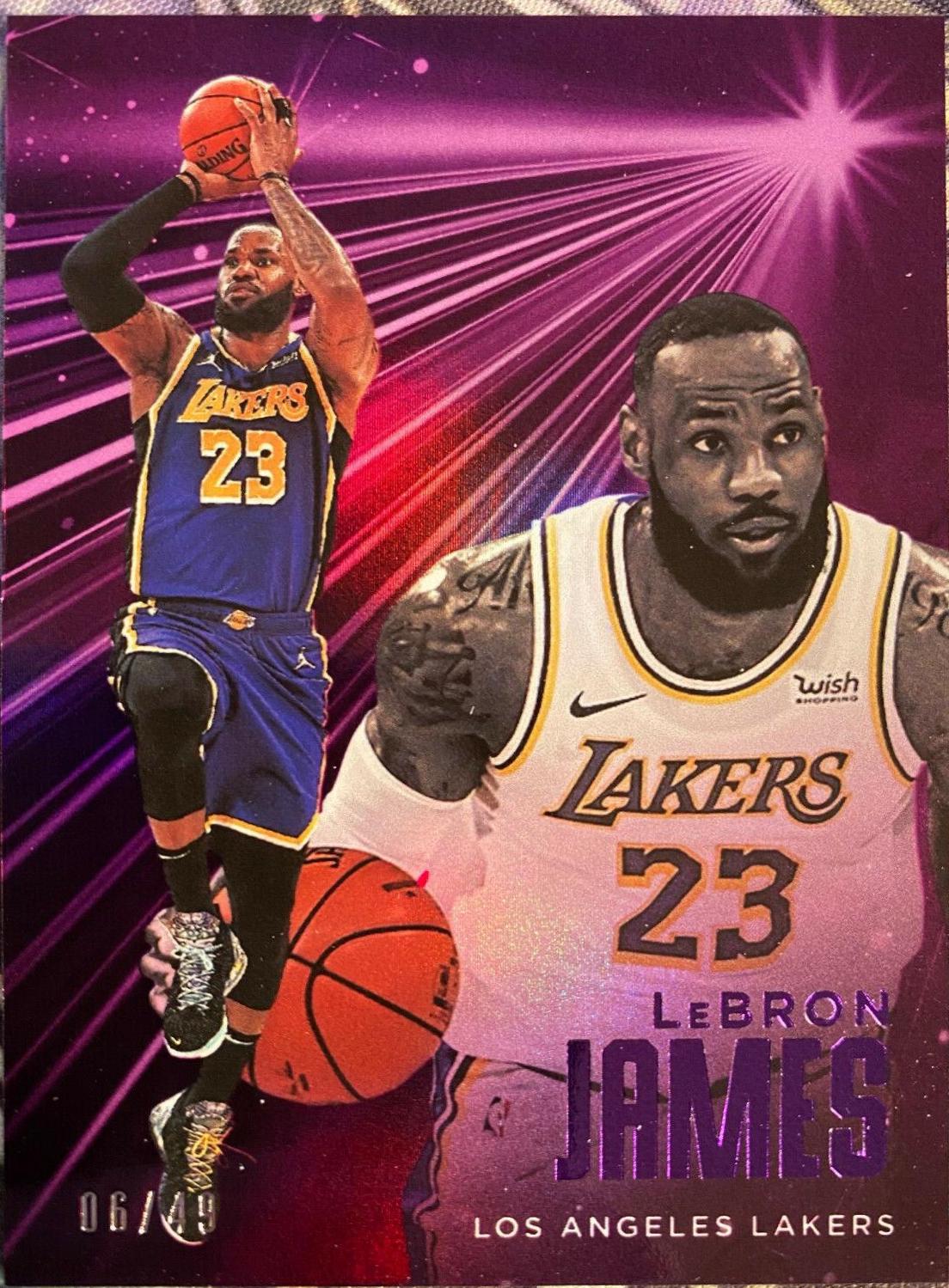 LeBron James [Purple] #557