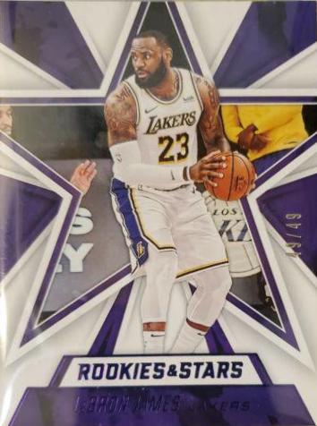 LeBron James [Purple] #671