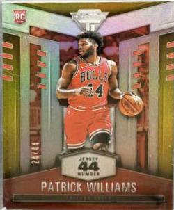 Patrick Williams #500