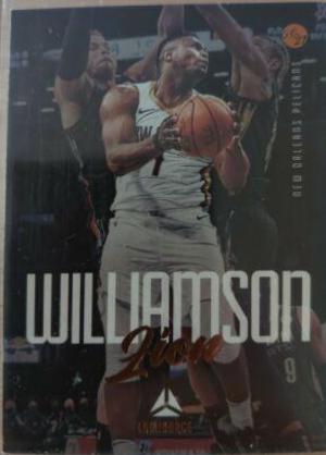 Zion Williamson [Bronze] #144