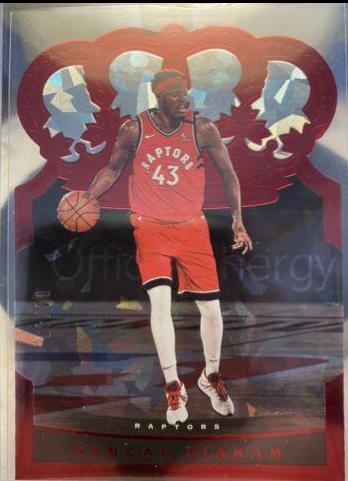 Pascal Siakam #5