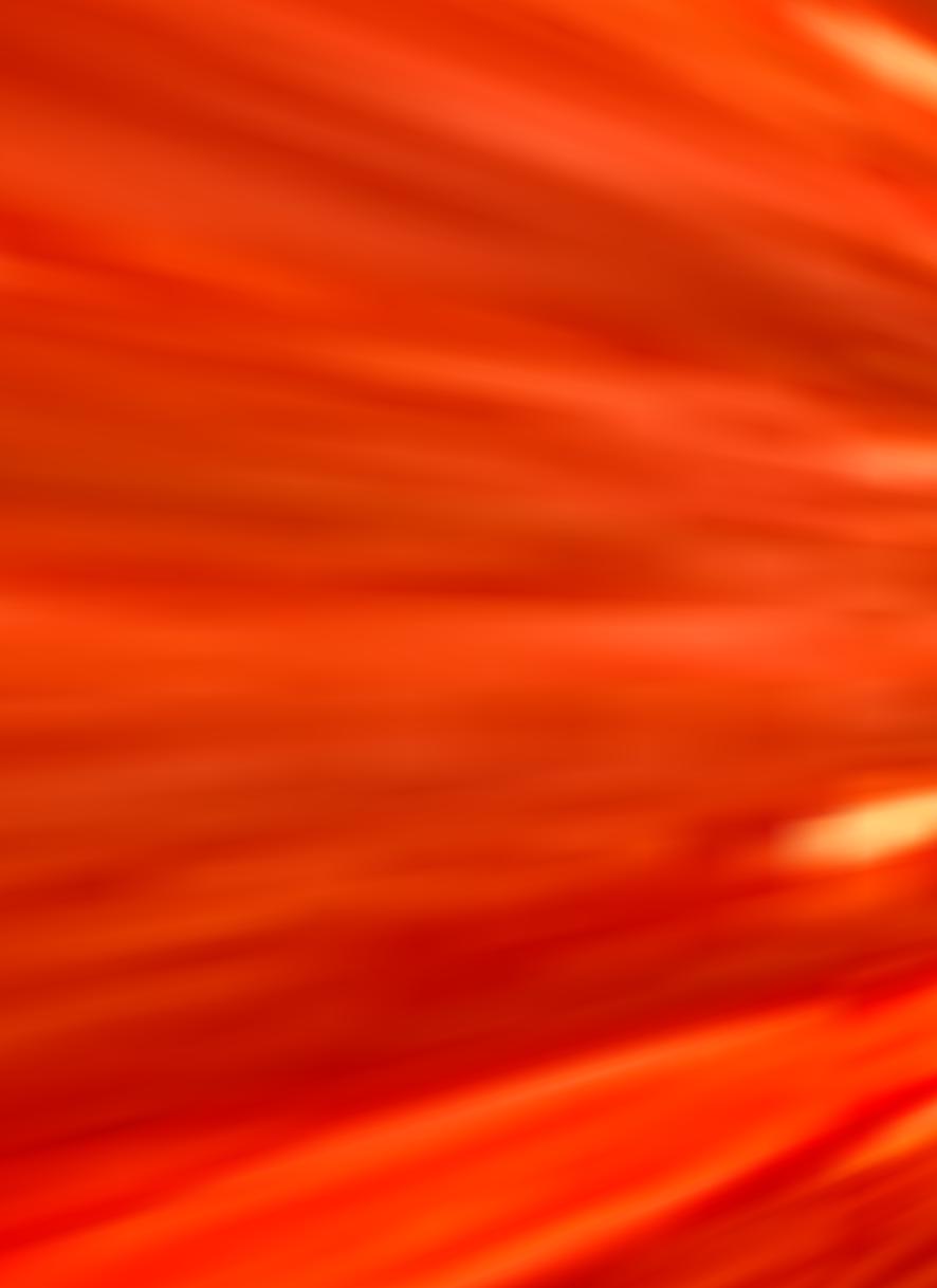 Aaron Nesmith [Pulsar Red] #214