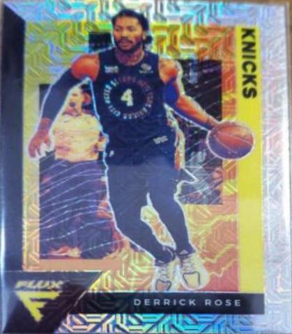Derrick Rose [Silver Mojo] #119
