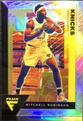 Mitchell Robinson #118