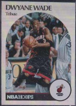 Dwyane Wade [Tribute] #264