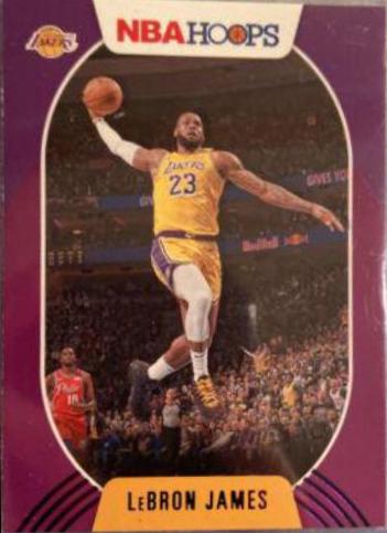 LeBron James [Purple] #146