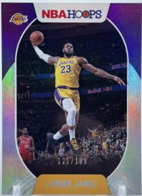 LeBron James [Silver] #146