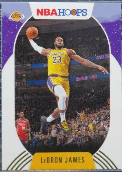 LeBron James [Winter] #146
