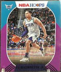 PJ Washington Jr. [Purple] #55